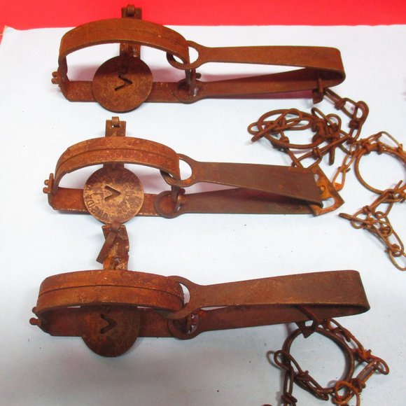 6 Vintage Oneida Victor No.1 Single Spring Trap Made in USA - Picture 4 of 6